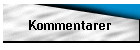 Kommentarer